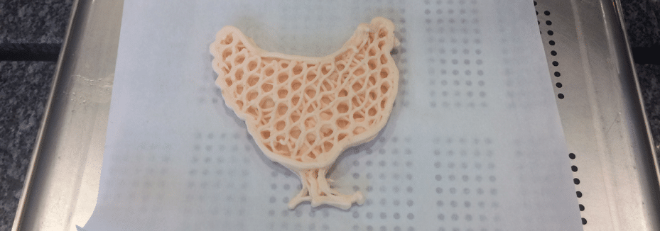 Suni France 3D chiken print